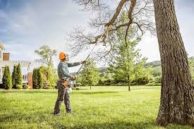 Best Leaf Removal  in Desoto Lakes, FL